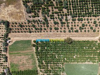 Αγροτεμάχια 5.000 τ.μ. για πώληση, Αργολίδα, Άργος-thumb-5