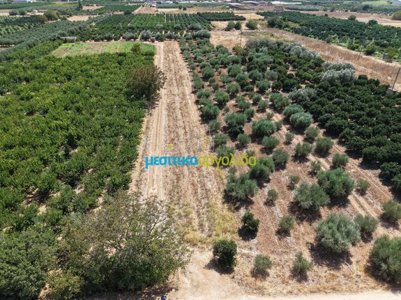 Αγροτεμάχια 5.000 τ.μ. για πώληση, Αργολίδα, Άργος