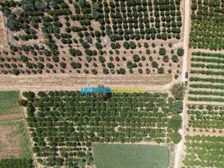 Αγροτεμάχια 5.000 τ.μ. για πώληση, Αργολίδα, Άργος-thumb-6