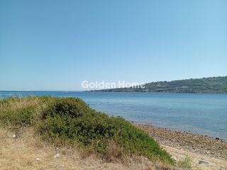 Αγροτεμάχια 1.843 τ.μ. για πώληση, Εύβοια, Αιδηψός-thumb-34