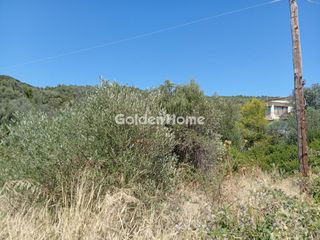 Αγροτεμάχια 1.843 τ.μ. για πώληση, Εύβοια, Αιδηψός-thumb-27
