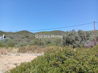 Αγροτεμάχια 1.843 τ.μ. για πώληση, Εύβοια, Αιδηψός-thumb-44