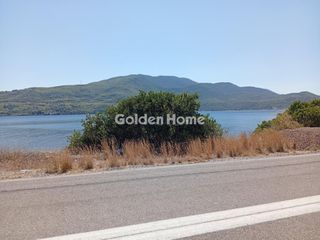 Αγροτεμάχια 1.843 τ.μ. για πώληση, Εύβοια, Αιδηψός-thumb-31