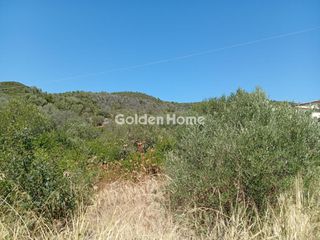 Αγροτεμάχια 1.843 τ.μ. για πώληση, Εύβοια, Αιδηψός-thumb-23