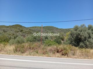 Αγροτεμάχια 1.843 τ.μ. για πώληση, Εύβοια, Αιδηψός-thumb-43