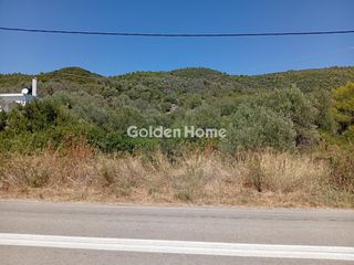 Αγροτεμάχια 1.843 τ.μ. για πώληση, Εύβοια, Αιδηψός-thumb-37
