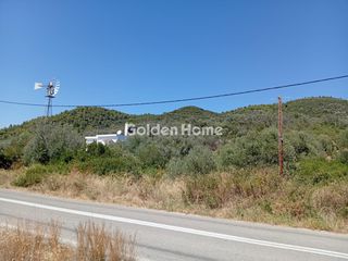 Αγροτεμάχια 1.843 τ.μ. για πώληση, Εύβοια, Αιδηψός-thumb-32