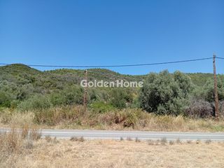 Αγροτεμάχια 1.843 τ.μ. για πώληση, Εύβοια, Αιδηψός-thumb-46