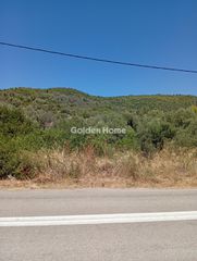 Αγροτεμάχια 1.843 τ.μ. για πώληση, Εύβοια, Αιδηψός-thumb-22