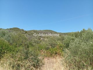 Αγροτεμάχια 1.843 τ.μ. για πώληση, Εύβοια, Αιδηψός-thumb-28