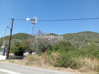 Αγροτεμάχια 1.843 τ.μ. για πώληση, Εύβοια, Αιδηψός-thumb-25