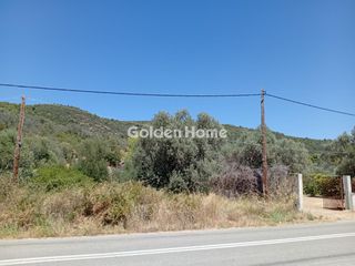 Αγροτεμάχια 1.843 τ.μ. για πώληση, Εύβοια, Αιδηψός-thumb-41