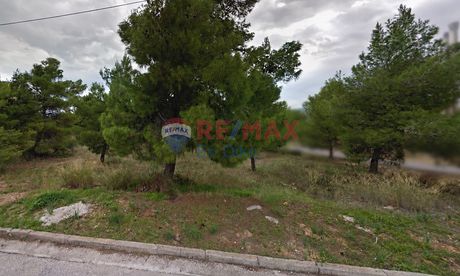Οικόπεδο 714 τ.μ. πρός πώληση