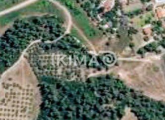 Parcel 5.183 sqm for sale