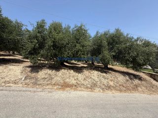 Οικόπεδο 325 τ.μ. προς πώληση, Μόδι Πλατανιά-thumb-13
