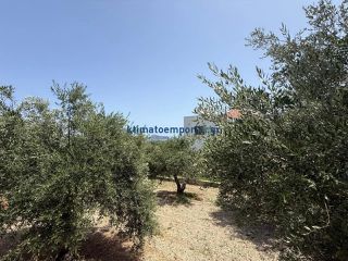 Οικόπεδο 325 τ.μ. προς πώληση, Μόδι Πλατανιά-thumb-11