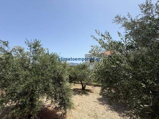 Οικόπεδο 325 τ.μ. προς πώληση, Μόδι Πλατανιά-thumb-12