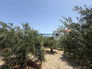 Οικόπεδο 325 τ.μ. προς πώληση, Μόδι Πλατανιά-thumb-10