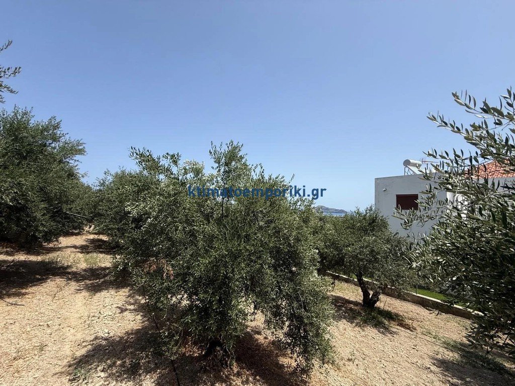 Οικόπεδο 325 τ.μ. προς πώληση, Μόδι Πλατανιά