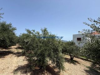 Οικόπεδο 325 τ.μ. για πώληση