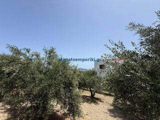 Οικόπεδο 325 τ.μ. προς πώληση, Μόδι Πλατανιά-thumb-8