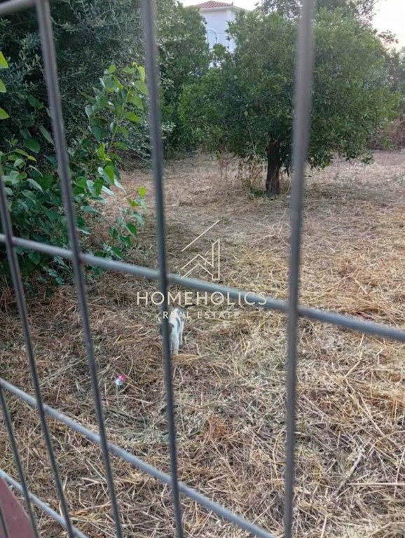 Οικόπεδο 663 τ.μ. πρός πώληση, Αχαΐα, Αίγιο