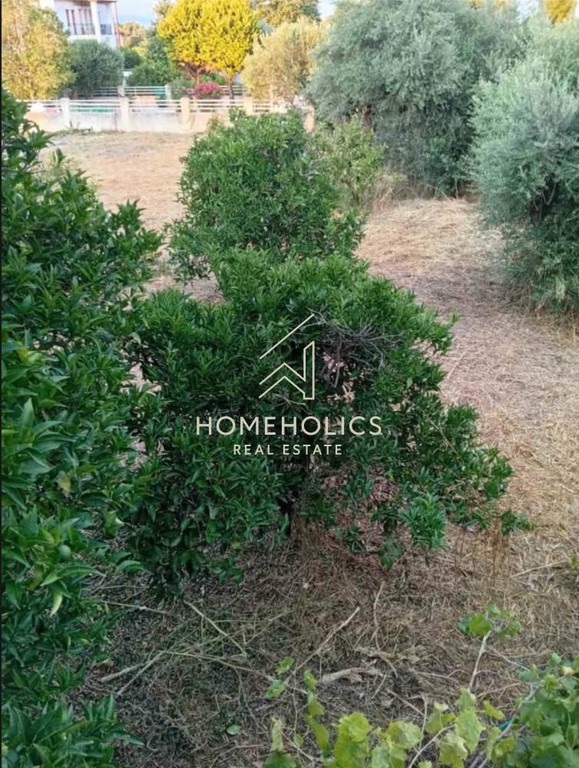 Οικόπεδο 663 τ.μ. πρός πώληση, Αχαΐα, Αίγιο