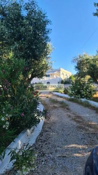 Detached home 90 sqm for rent