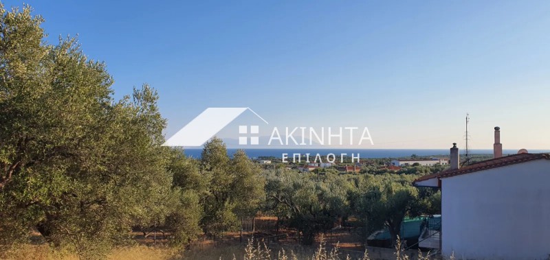 Διαμέρισμα 50 τ.μ. πρός πώληση, Εβρος, Αλεξανδρούπολη