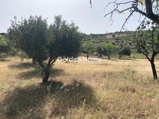 Οικόπεδο 4.127 τ.μ. για πώληση