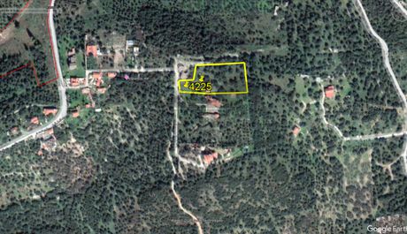 Αγροτεμάχια 4.225 τ.μ. πρός πώληση