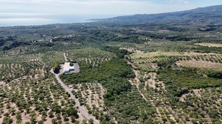 Αγροτεμάχια 5.732 τ.μ. για πώληση, Μεσσηνία, Πεταλίδι-thumb-17