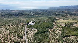 Αγροτεμάχια 5.732 τ.μ. για πώληση, Μεσσηνία, Πεταλίδι-thumb-14