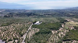 Αγροτεμάχια 5.732 τ.μ. για πώληση