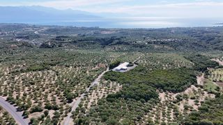 Αγροτεμάχια 5.732 τ.μ. για πώληση, Μεσσηνία, Πεταλίδι-thumb-7