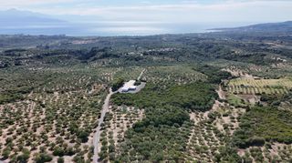 Αγροτεμάχια 5.732 τ.μ. για πώληση, Μεσσηνία, Πεταλίδι-thumb-3