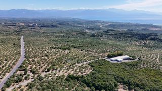 Αγροτεμάχια 5.732 τ.μ. για πώληση, Μεσσηνία, Πεταλίδι-thumb-19