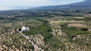 Αγροτεμάχια 5.732 τ.μ. για πώληση, Μεσσηνία, Πεταλίδι-thumb-11