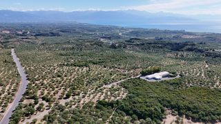Αγροτεμάχια 5.732 τ.μ. για πώληση, Μεσσηνία, Πεταλίδι-thumb-8