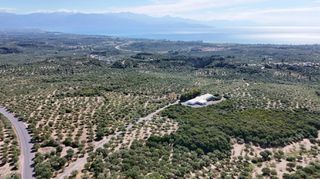 Αγροτεμάχια 5.732 τ.μ. για πώληση, Μεσσηνία, Πεταλίδι-thumb-10