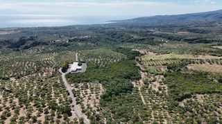 Αγροτεμάχια 5.732 τ.μ. για πώληση, Μεσσηνία, Πεταλίδι-thumb-21