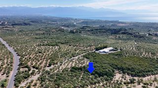 Αγροτεμάχια 5.732 τ.μ. για πώληση, Μεσσηνία, Πεταλίδι-thumb-2