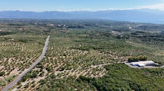 Αγροτεμάχια 5.732 τ.μ. για πώληση, Μεσσηνία, Πεταλίδι-thumb-13