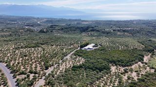 Αγροτεμάχια 5.732 τ.μ. για πώληση, Μεσσηνία, Πεταλίδι-thumb-23