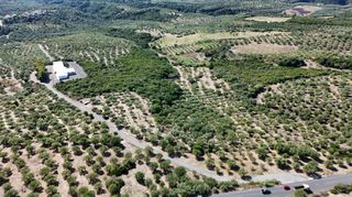 Αγροτεμάχια 5.732 τ.μ. για πώληση, Μεσσηνία, Πεταλίδι-thumb-24
