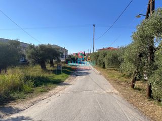 Οικόπεδο 1.506 τ.μ. για πώληση, Ν. Καβάλας, Θάσος-thumb-4