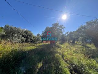 Οικόπεδο 1.506 τ.μ. για πώληση, Ν. Καβάλας, Θάσος-thumb-5