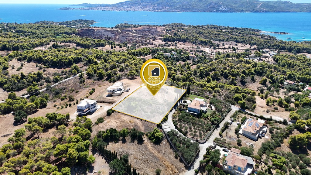 Αγροτεμάχια 4.003,94 τ.μ. προς πώληση, Χηνίτσα