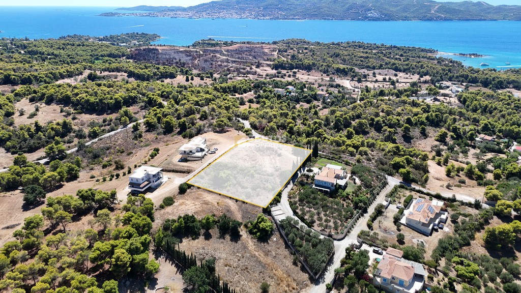 Αγροτεμάχια 4.003,94 τ.μ. προς πώληση, Χηνίτσα