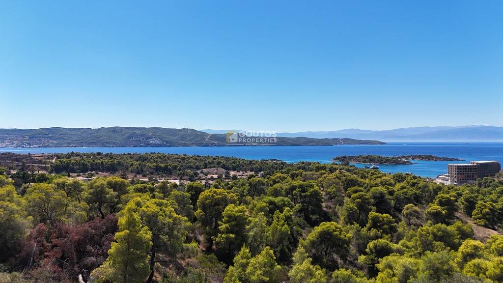 Αγροτεμάχια 4.003,94 τ.μ. προς πώληση, Χηνίτσα